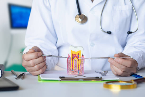 Best 24-Hour Emergency Dental Care in Dunkirk, IN